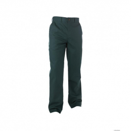 Pantalon gary  vert  46