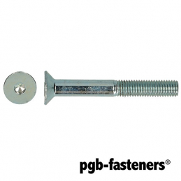 VIS └ 6PC TF 10.9 DIN 7991...